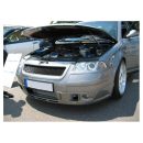 Mascherina calandra Volkswagen Passat 3BG B5 FL 00-05