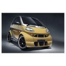 Paraurti anteriore Smart Fortwo