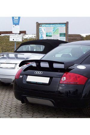 Spoiler alettone Audi TT 8N