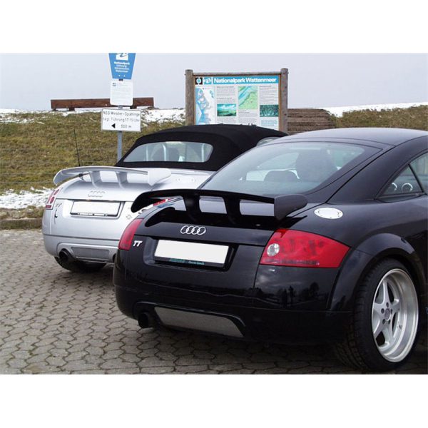 Spoiler alettone Audi TT 8N