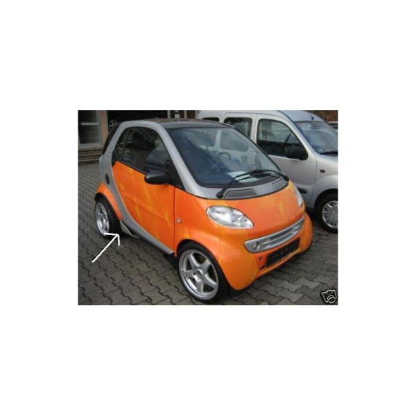 Minigonne Smart ForTwo