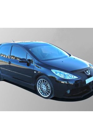 Minigonne laterali sottoporta Peugeot 307 Futuriste