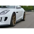 Lama sottoporta Jaguar F-Type 2013-