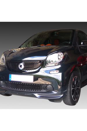 Sottoparaurti anteriore Smart Fortwo 453