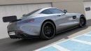 Lama sottoporta BMW AMG GT C190 / S190 2017-2023