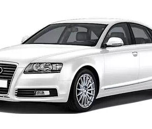 Centralina aggiuntiva Audi A6 C6 2004-2008 2.7 V6 24v TDI 179 cv 132 kw