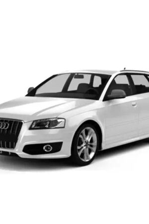 Centralina aggiuntiva Audi S3 8P 2.0 TFSI 265 cv 195 kw