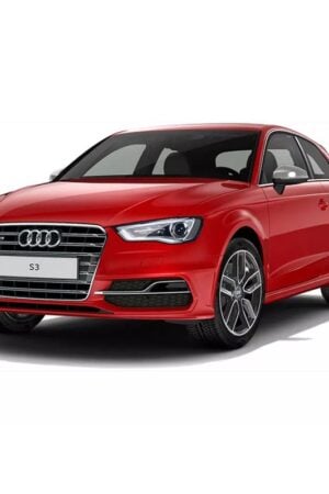 Centralina aggiuntiva Audi S3 8V 2.0 TFSI 300 cv 221 kw